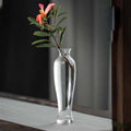 Clear Glass Vase, Chinese Zen Style Guanyin Bottle Vase, Hydroponic Flower Arrangement Vase, Transparent Floral Container for Living Room & Dining Table Decor